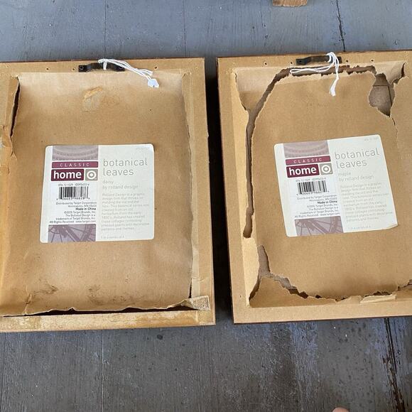 Vintage ArtPrint Of Herbarium 1880’s Botanical Leaves Maple & Daisy Set Of 2 - Picture 6 of 9